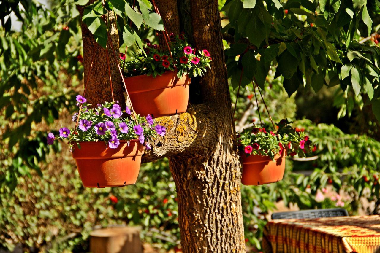 Suzanna In Odem Villa Bagian luar foto